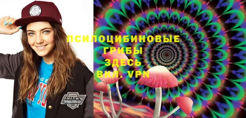 магазин    блэк спрут зеркало  Псилоцибиновые грибы MAGIC MUSHROOMS  Санкт-Петербург 